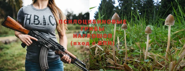 прущая мука Богородск